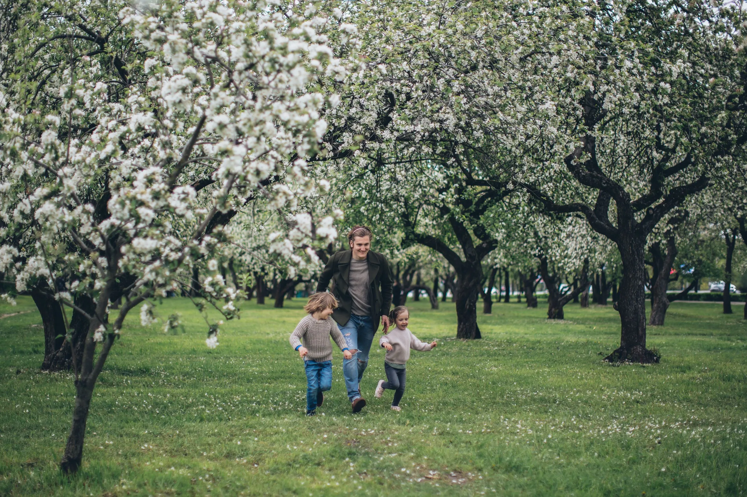 Padre corriendo con sus dos hijos por un huerto de manzanos en flor